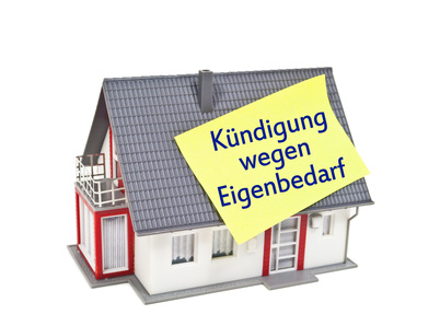 Immobilien in der Gesellschaft