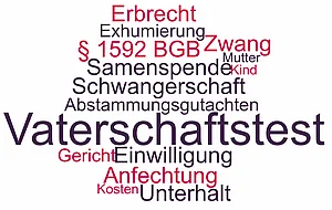 Themen und Begriffe rund um den Vaterschaftstest