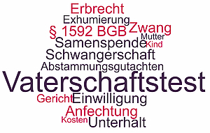 Themen und Begriffe rund um den Vaterschaftstest