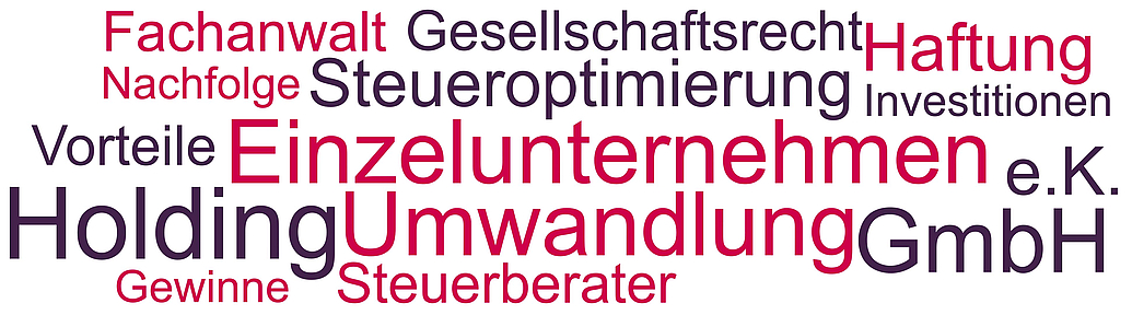 Begriffe und Themen rund um die Umwandlung des Einzelunternehmens in eine GmbH-Holding.