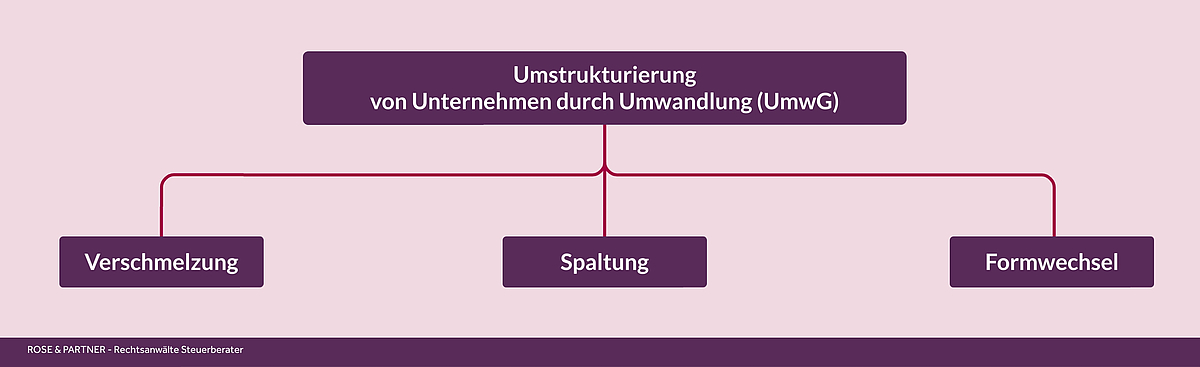 Umwandlung - Verschmelzung, Spaltung und Formwechsel