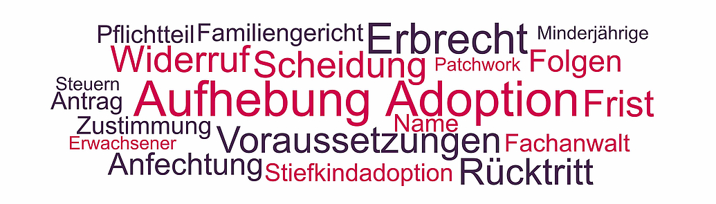 Themen und Begriffe rund um die Aufhebung der Adoption