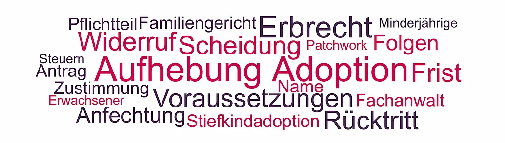 Themen und Begriffe rund um die Aufhebung der Adoption