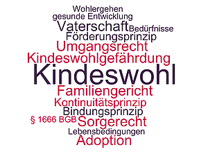 Begriffe und Prinzipien rund um den unbestimmten Rechtsbegriff des Kindeswohls