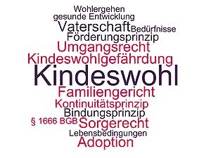 Begriffe und Prinzipien rund um den unbestimmten Rechtsbegriff des Kindeswohls