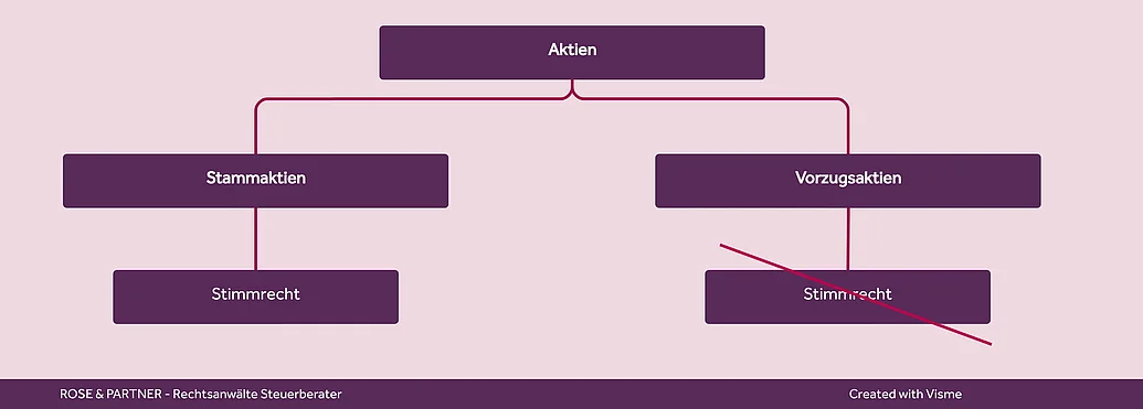 Stammaktien und Vorzugsaktien Aktien Stammaktien stimmrechtslose Vorzugsaktien