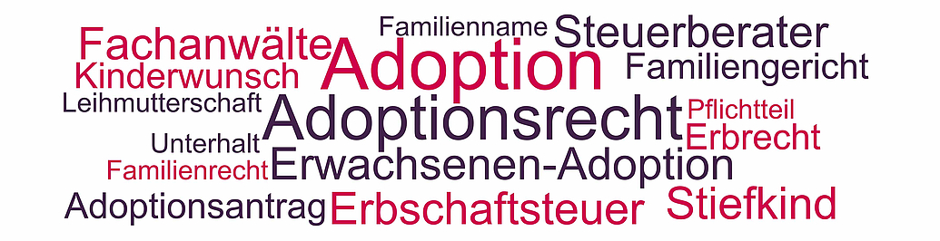 Adoption - Themen und Begriffe für Anwälte im Adoptionsrecht