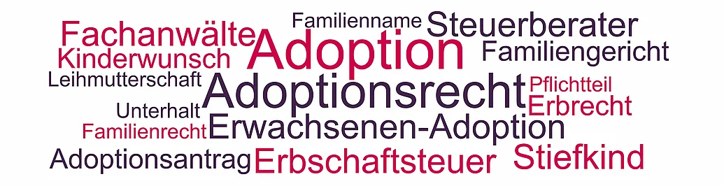 Rechtsanwalt Adoption und Adoptionsrecht Adoption - Themen und Begriffe für Anwälte im Adoptionsrecht