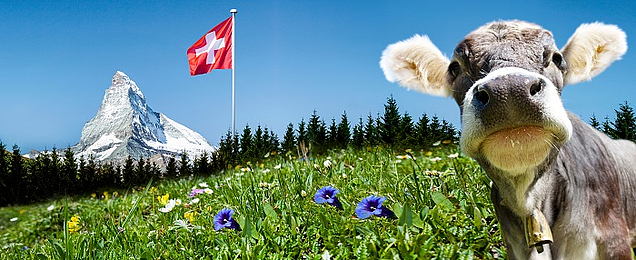 Eine Kuh vor der Schweizer Flagge am Matterhorn. So schön ist das Nachbarland - jetzt auch mit neuem Erbrecht.