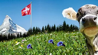 Eine Kuh vor der Schweizer Flagge am Matterhorn. So schön ist das Nachbarland - jetzt auch mit neuem Erbrecht.