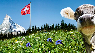 Eine Kuh vor der Schweizer Flagge am Matterhorn. So schön ist das Nachbarland - jetzt auch mit neuem Erbrecht.