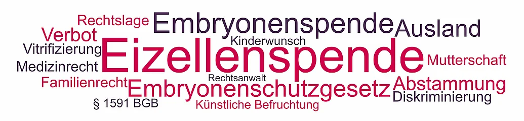Eizellenspende, Rechtsanwalt Beratung Rechtslage Eizellenspende - Themen und Begriffe