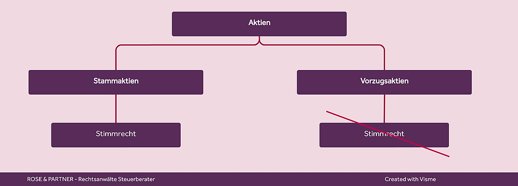 Aktien Stammaktien stimmrechtslose Vorzugsaktien