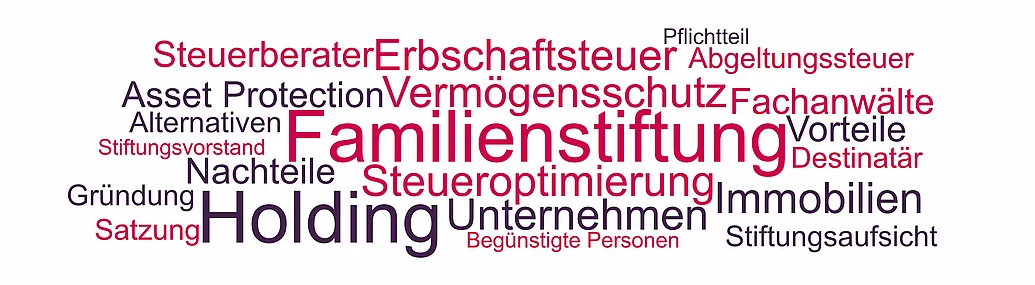 Familienstiftung Holding, Familienholding als Stiftung Familienstiftung als Hoding - Begriffe und Themen