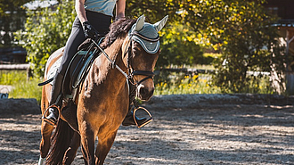 Reitunterricht Umsatzsteuer