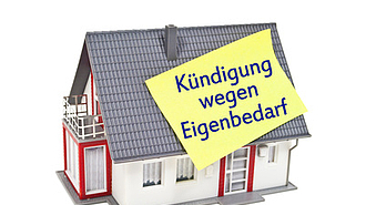 Immobilien in der Gesellschaft