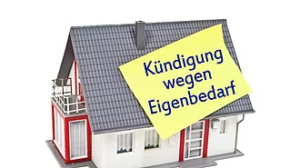 Immobilien in der Gesellschaft