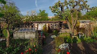 Arglistige Täuschung beim Immobilienkaufvertrag mit Haftungsausschluss