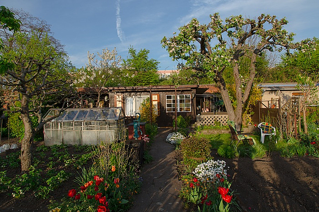 Arglistige Täuschung beim Immobilienkaufvertrag mit Haftungsausschluss